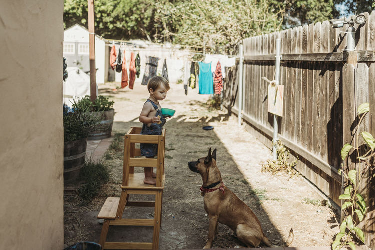 Young toddler boy and puppy playing outside in yard together