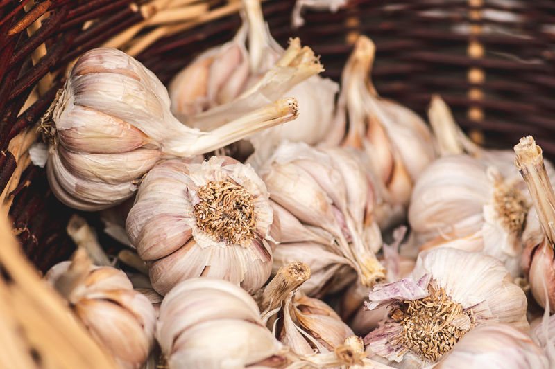 Close-up of garlic for sale at market