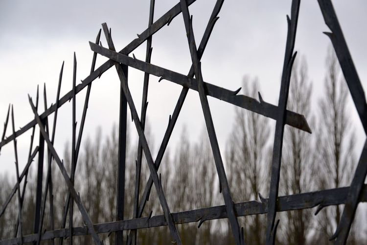 Close-up of metal fence against sky