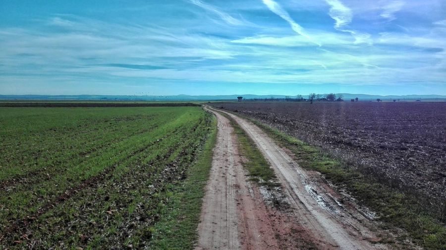 Scenic view of agricultural field against sky