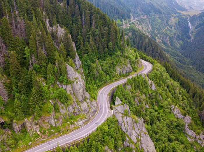 High angle view of road amidst trees in forest