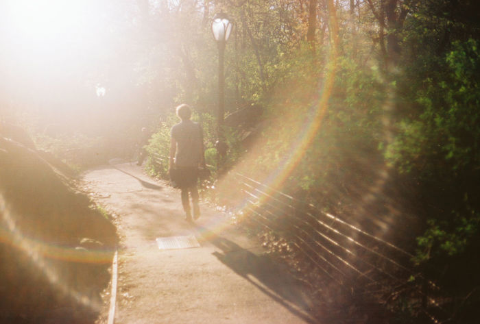 Person walking in park with lens flare