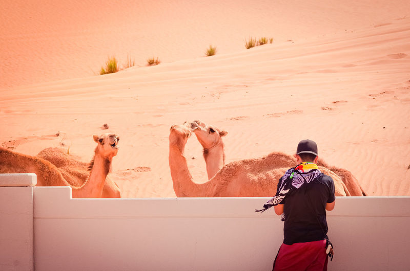 Rear view of men walking in desert