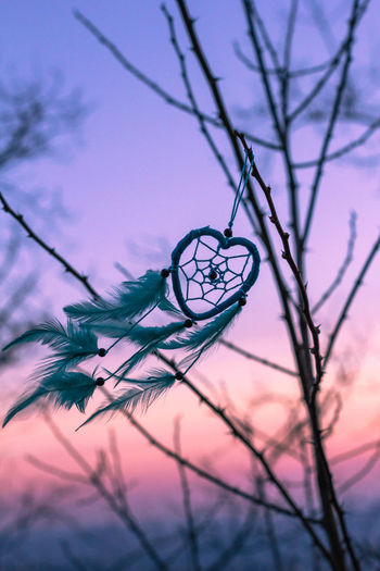 Low angle view of dreamcatcher on bare tree against sky during sunset