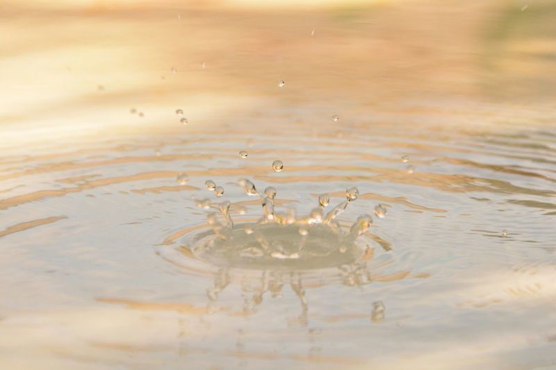 Close-up of splash crown in lake