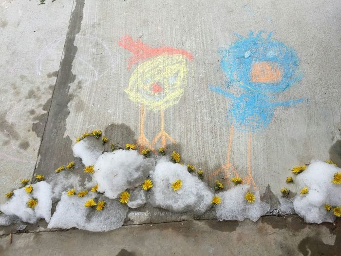 Close-up view of chalk drawing on street
