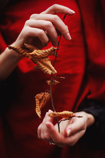Close-up of woman holding dry leaves