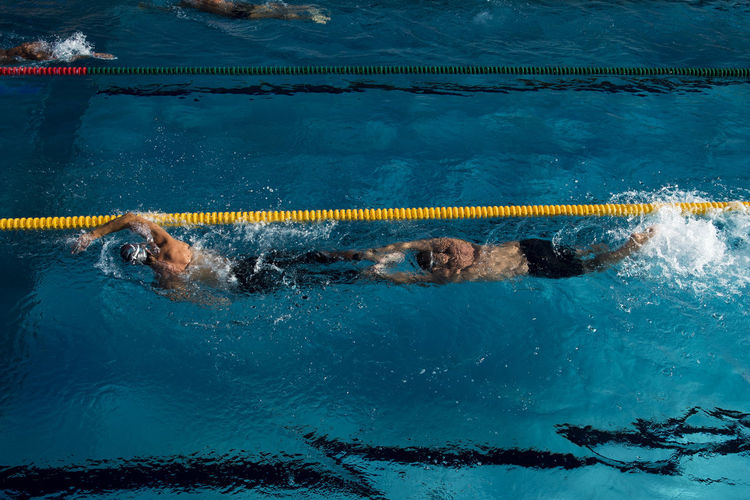 High angle view of male athletes swimming in pool