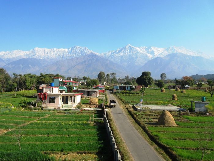 Indian village beautiful scenic view snow covered mountains and lush green fields