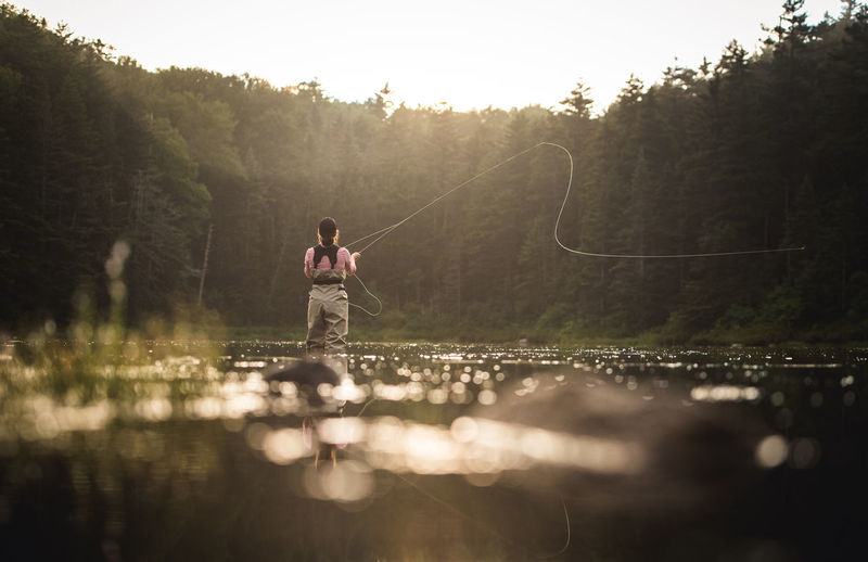 Woman angler fly-fishing in nh backcountry lake with back-lighting