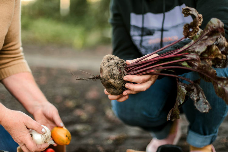 Midsection of man holding plant