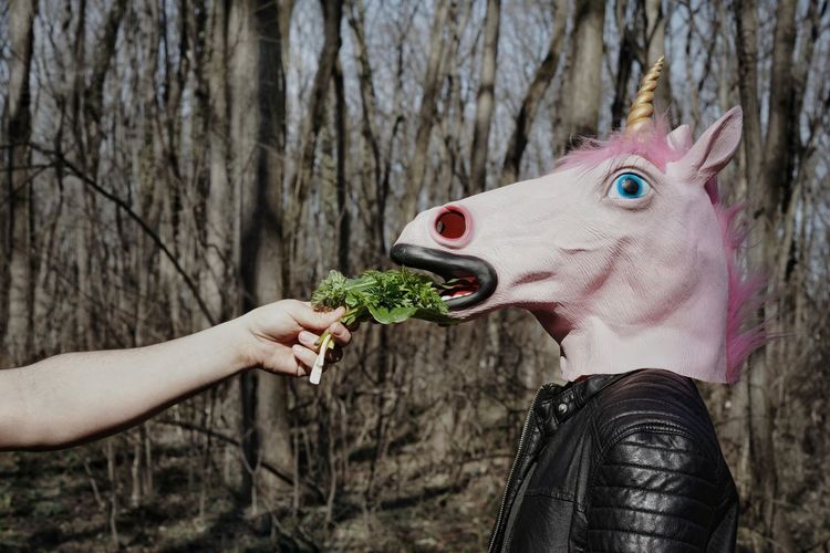 Cropped hands feeding person wearing unicorn mask in forest