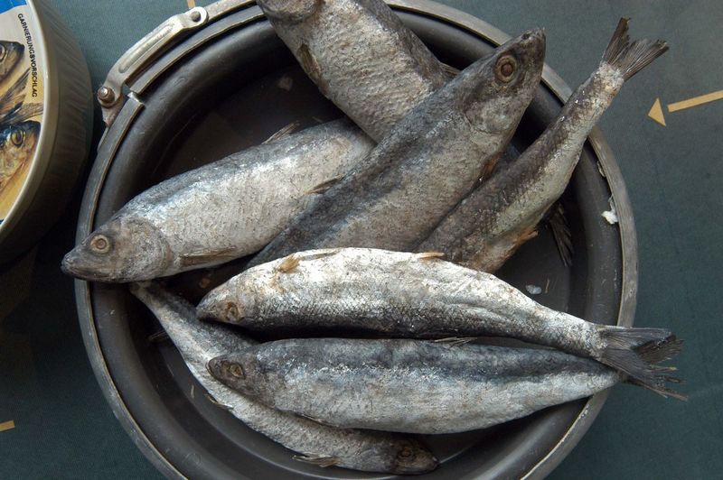 Fresh fish caught from the sea at the market place