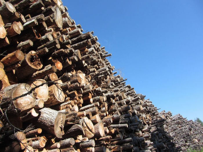 Low angle view of logs against sky