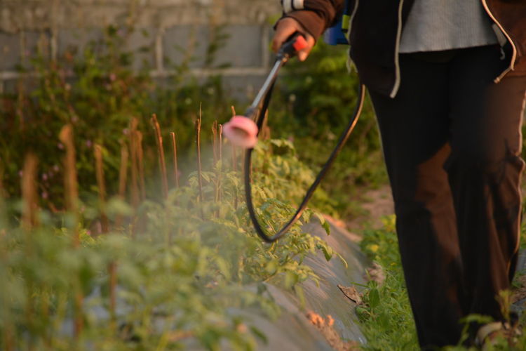 Low section of person spraying pesticides on plants