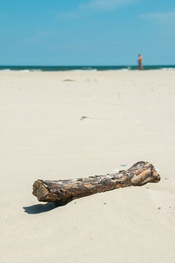 Surface level of driftwood on beach against sky