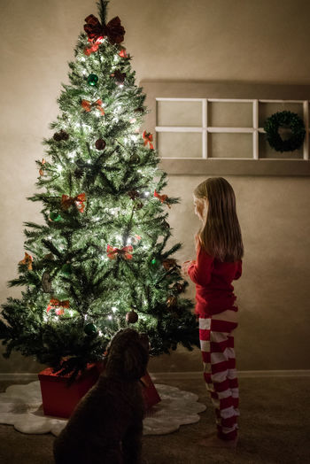 Girl and dog looking at christmas tree
