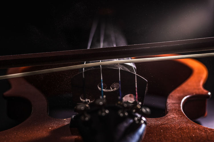 Close-up of violin