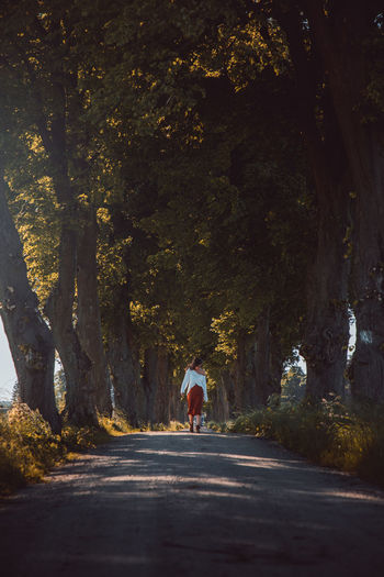 Rear view of man walking on road amidst trees