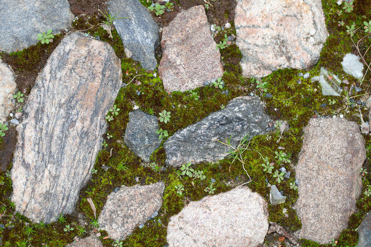 High angle view of stones on rock