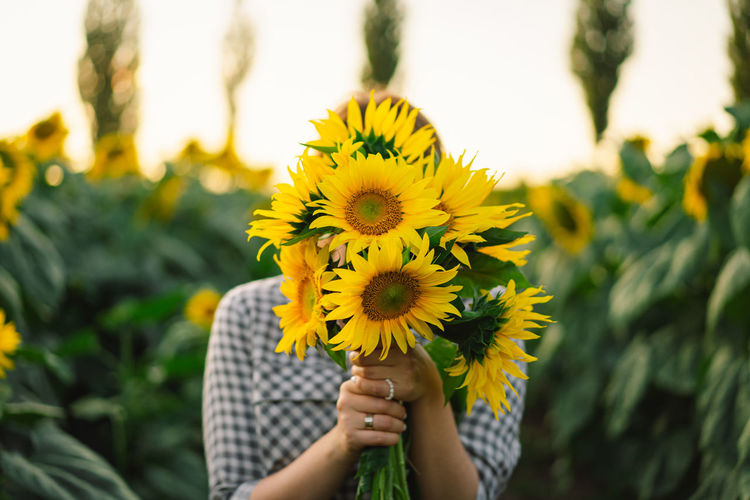 Cropped hand of woman holding sunflower