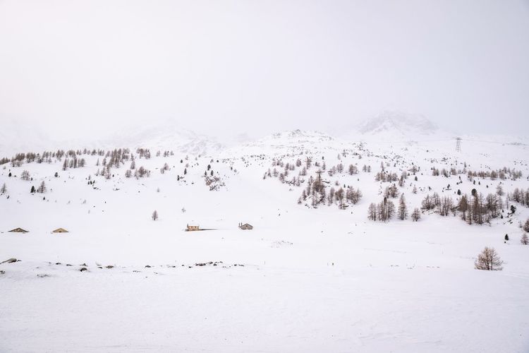 Flock of birds on snow covered land against sky