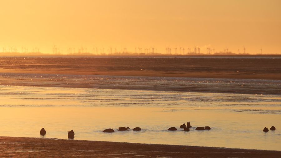 People at beach against sky during sunset