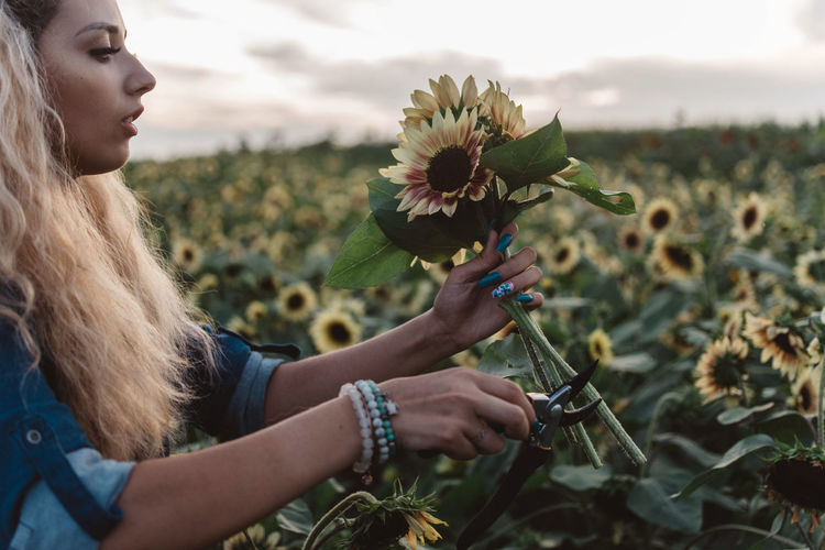Young woman cutting sunflowers while standing at farm