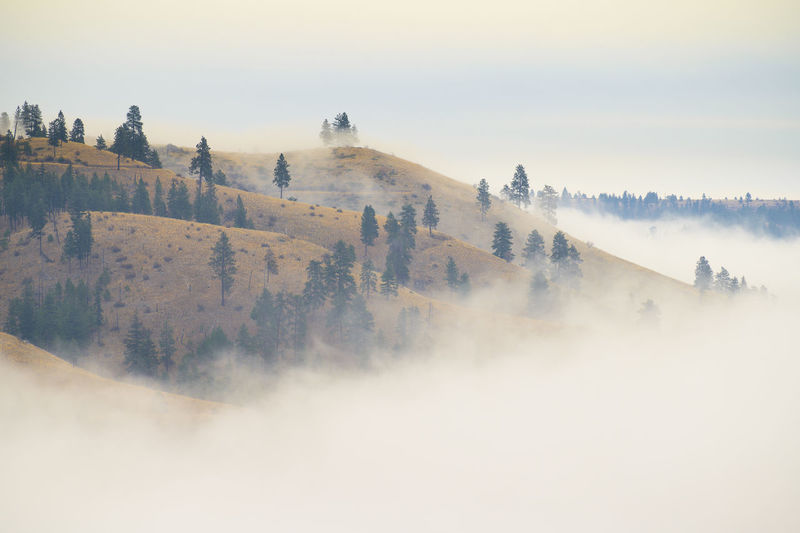 Foggy mountain top with clouds hanging