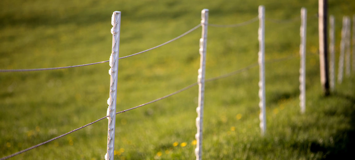 Close-up of fence on field