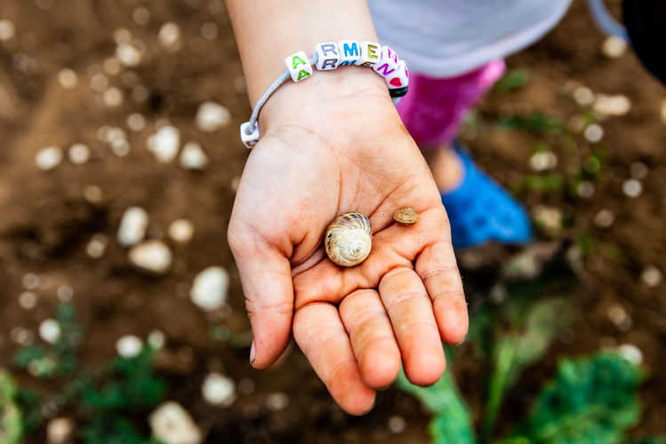 Close-up high angle view of girl holding shell on land