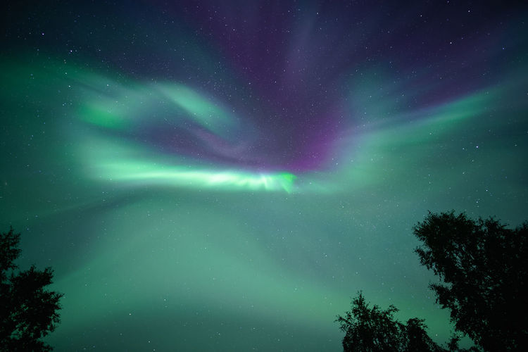 Low angle view of man with arms raised against sky at night