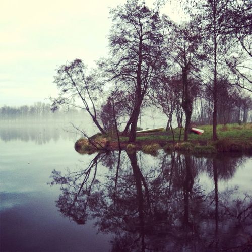 Trees by lake in forest against sky