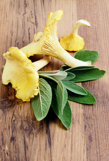 Close-up of golden chanterelle on wooden table
