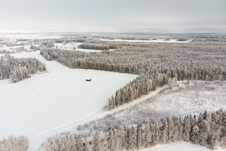 Aerial view of snow covered land