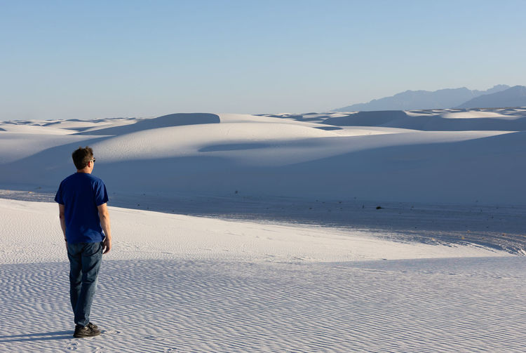 Lone adult male looking off into the dunes at white sands national park