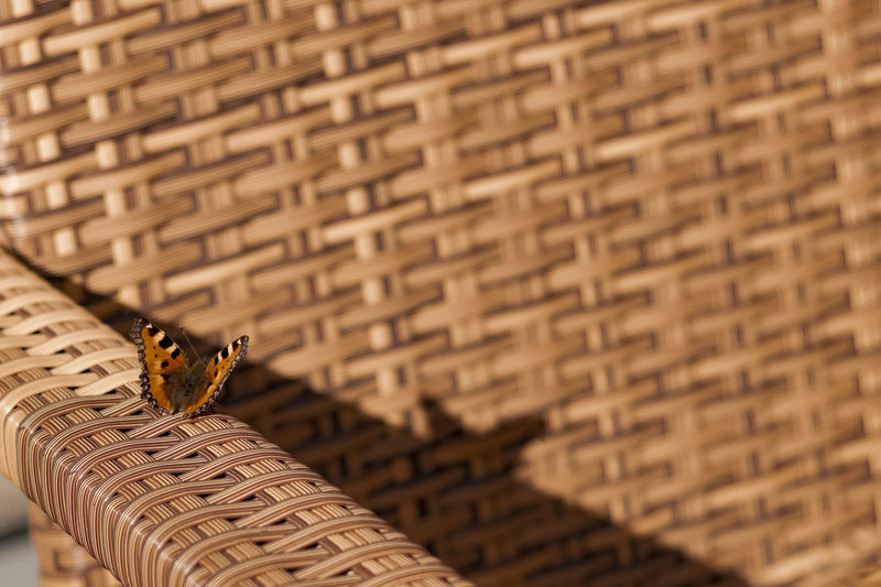 Close-up of butterfly on wicker basket