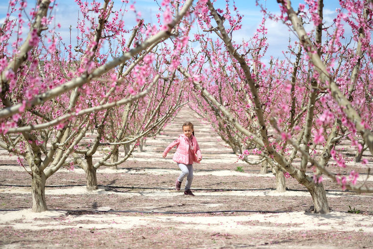 Cute girl running against cherry trees
