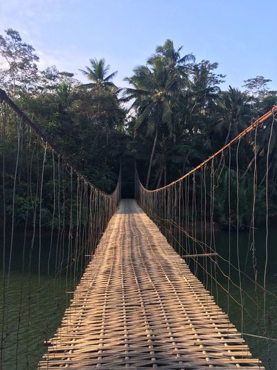 Indonesian bridge