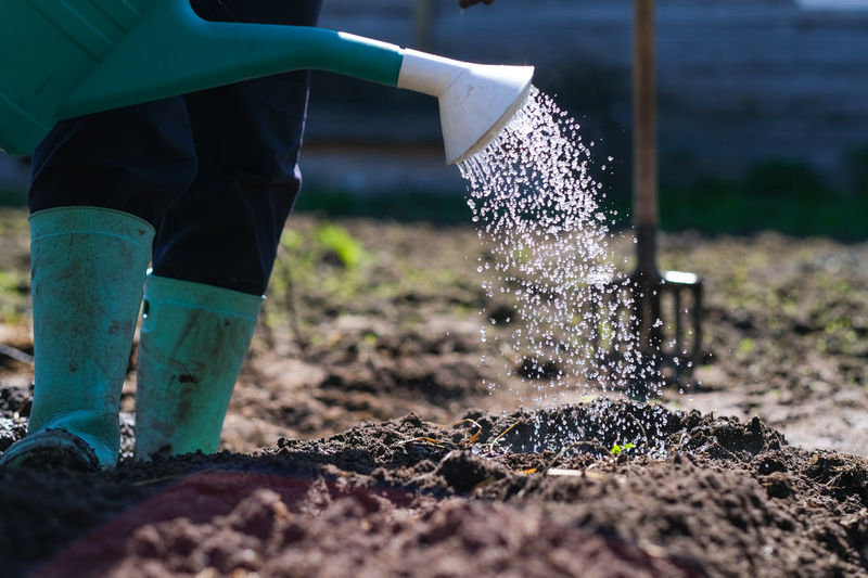 Low section of man sprinkling water on field