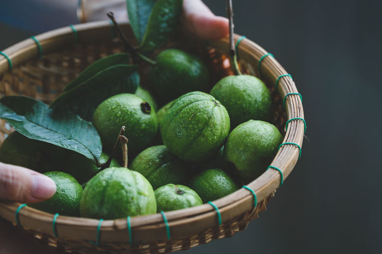 Cropped image of person holding guava in basket
