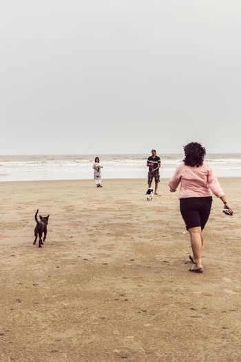People with dogs at beach against clear sky