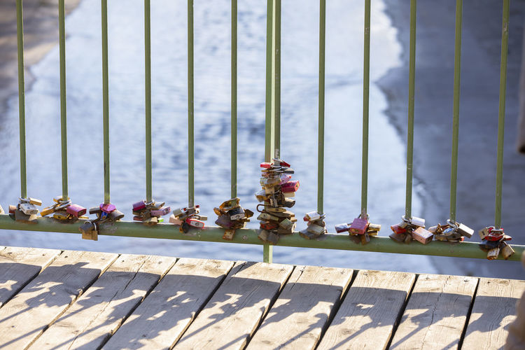 Close-up of plants by railing against fence