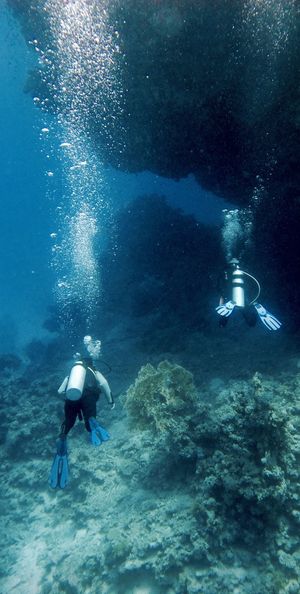 Scuba divers swimming in sea over corals