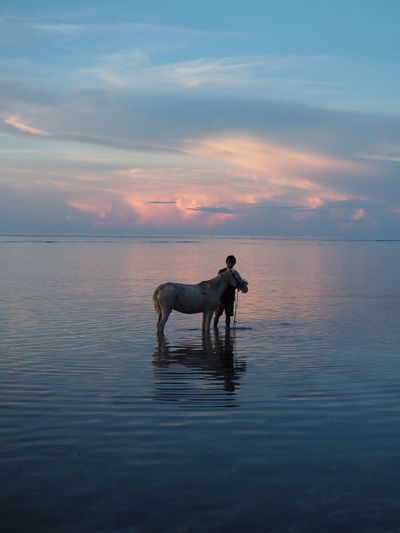 Person with horse at beach during sunset