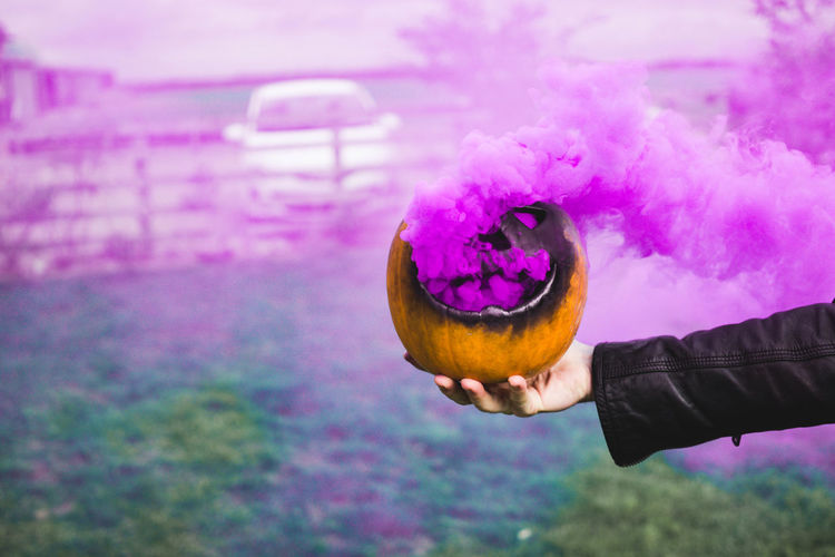 Person holding purple flower
