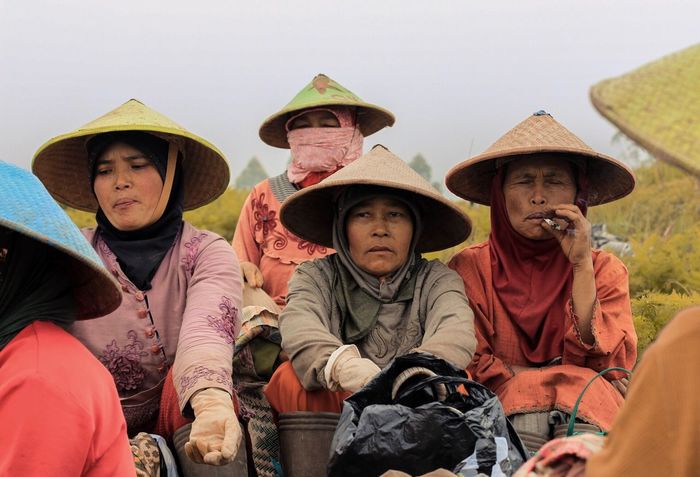 Female farmers wearing asian style conical hats at farm