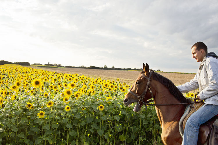 Man riding horse