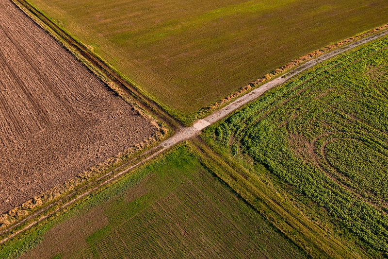 Aerial view of a paved path and a farm road that form a cross between fields