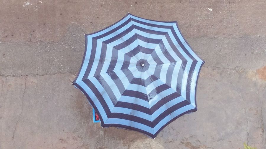 Umbrella against blue wall